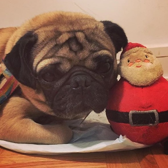 ALL NFS IS DONATED 👀 - Picture 5 of 6